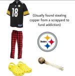 steelerFan.jpg