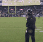 mike-tomlin.gif